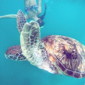 Meet your Posher, Naomi